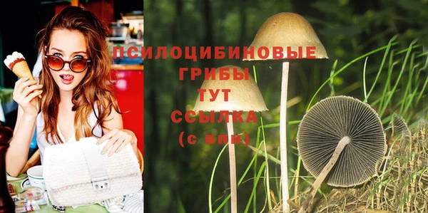 ALPHA PVP Волосово