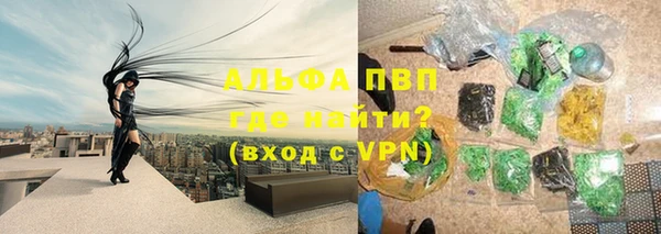 гашик Верея